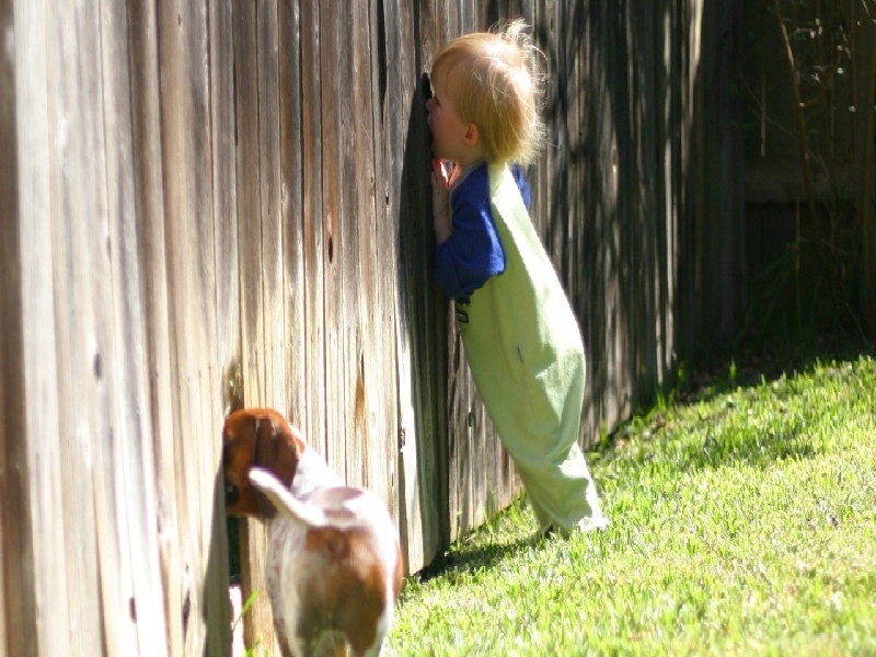 合肥试管助孕(泰悦健康试管)